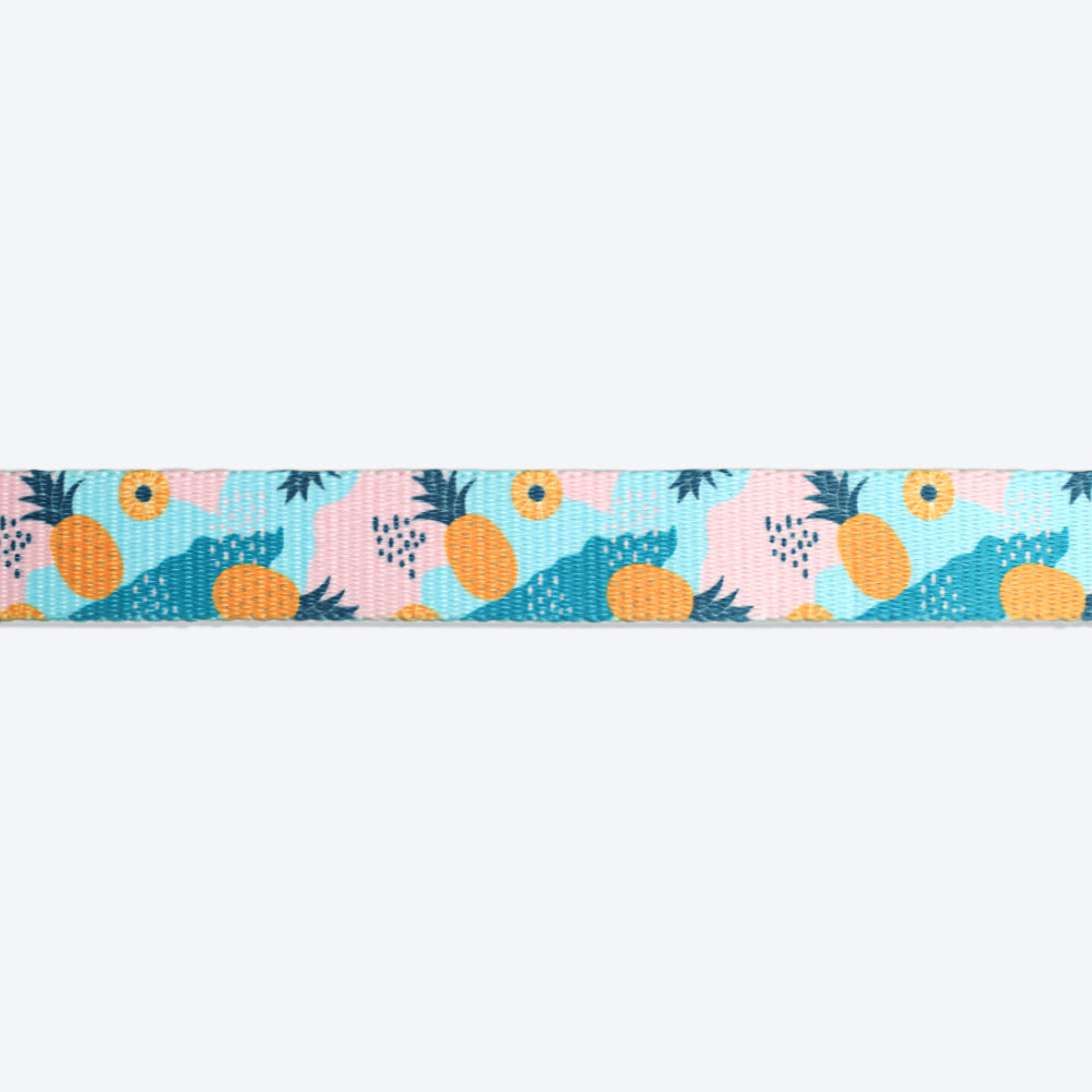 HUFT Modern Art Printed Dog Collar - Heads Up For Tails