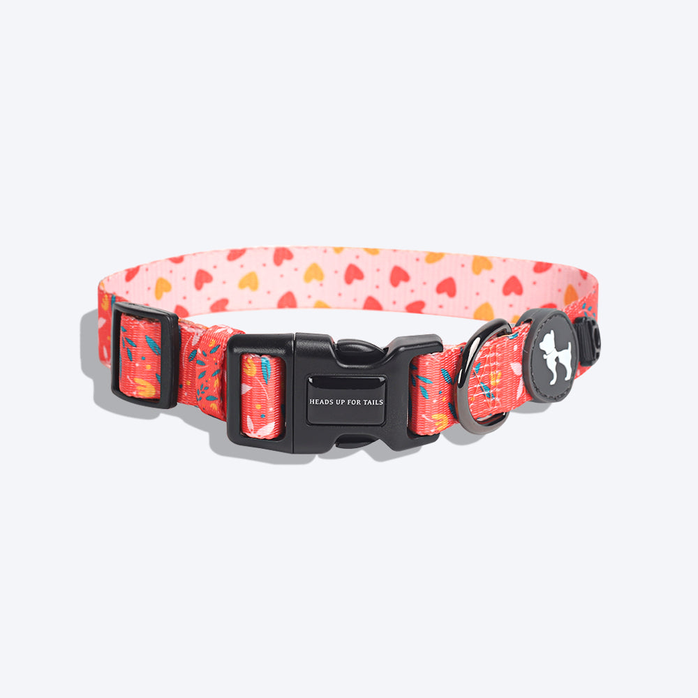 HUFT Summer Rapture Printed Collar - Heads Up For Tails