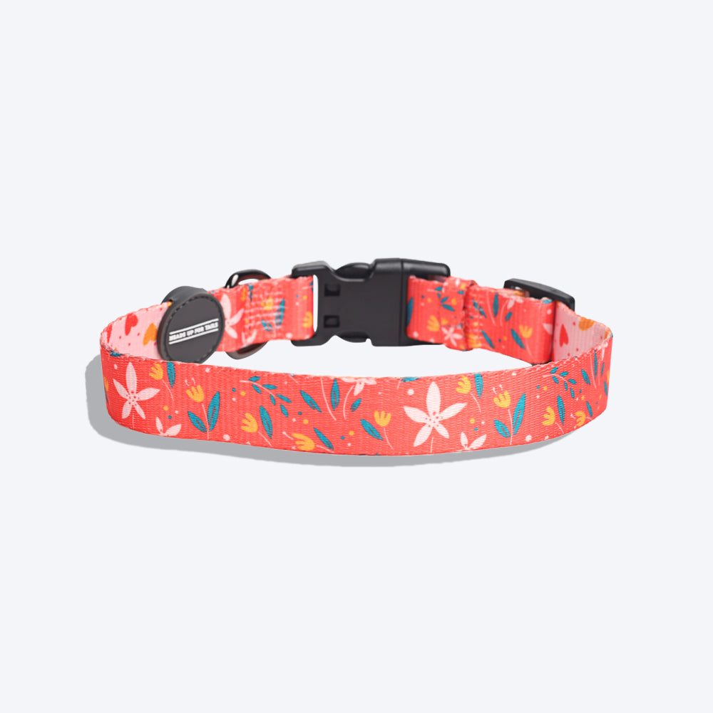 HUFT Summer Rapture Printed Collar - Heads Up For Tails