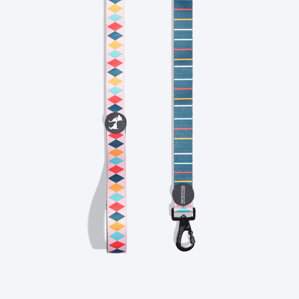 HUFT Sunset Strokes Printed Leash - Heads Up For Tails