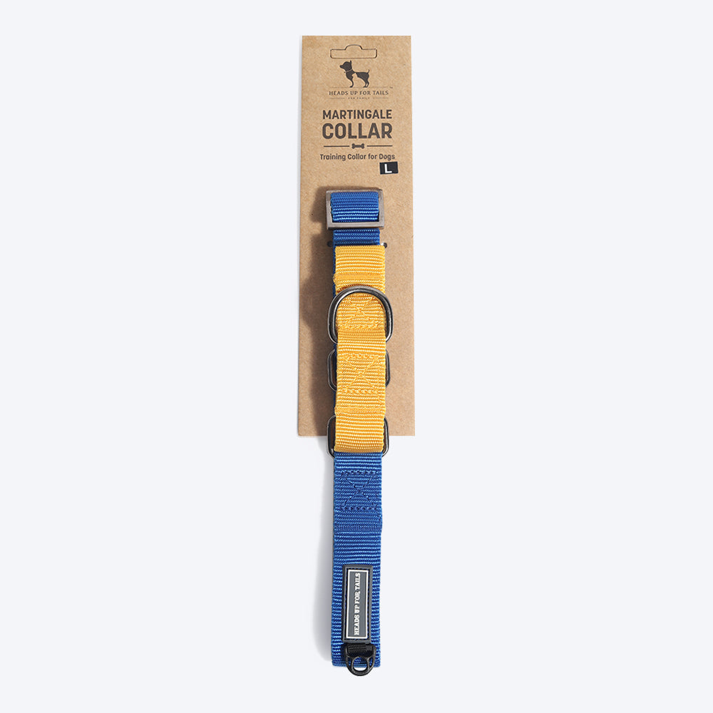 HUFT Martingale Dog Collar - Navy and Yellow-4