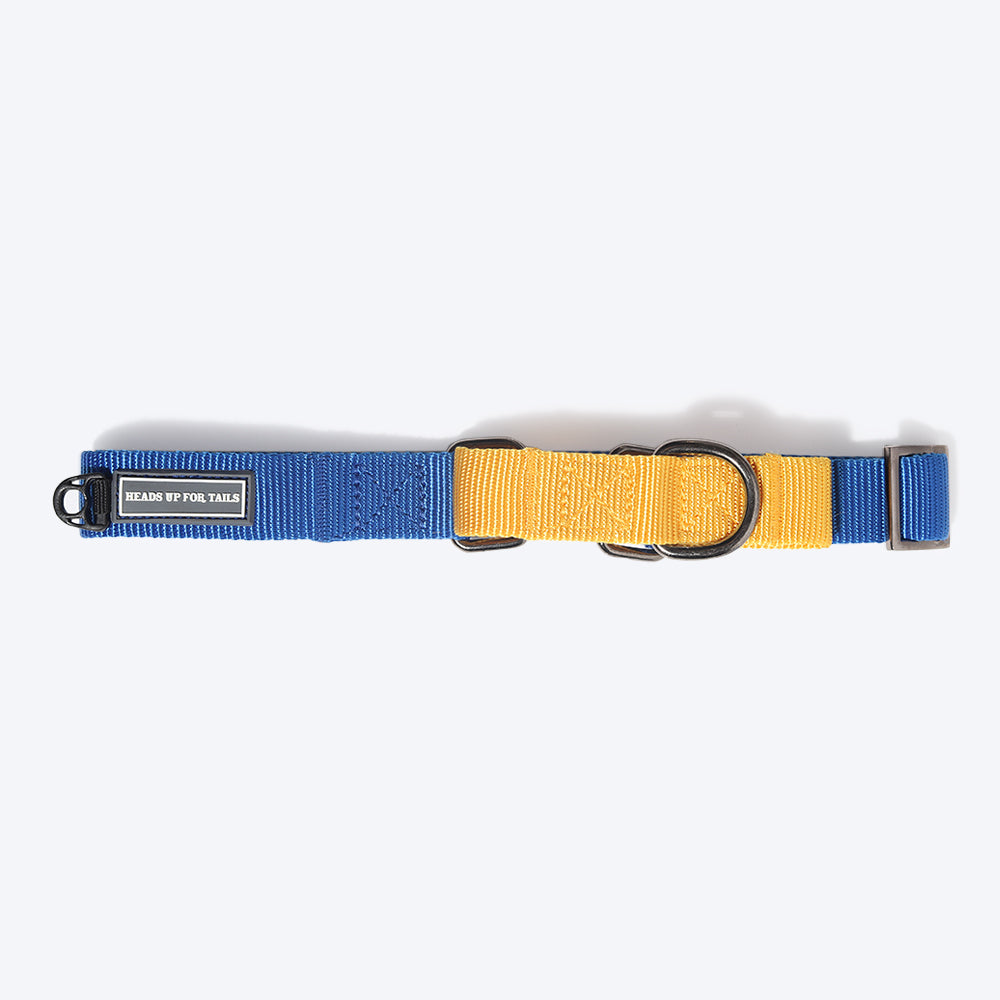 HUFT Martingale Dog Collar - Navy and Yellow-6