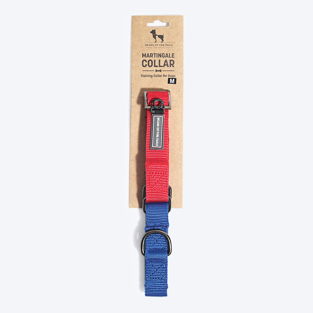 HUFT Martingale Dog Collar - Red and Navy-5