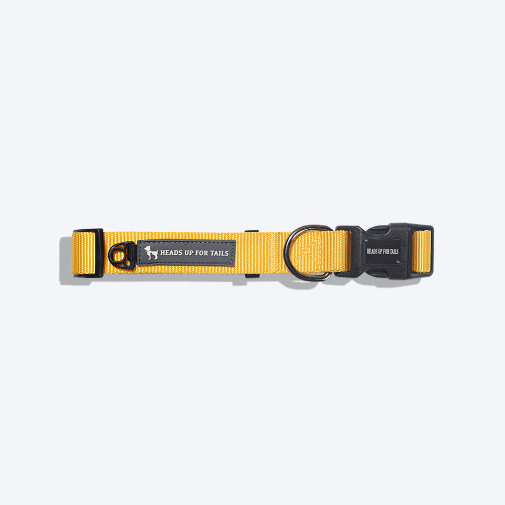 HUFT Essentials Nylon Dog Collar - Yellow - Heads Up For Tails