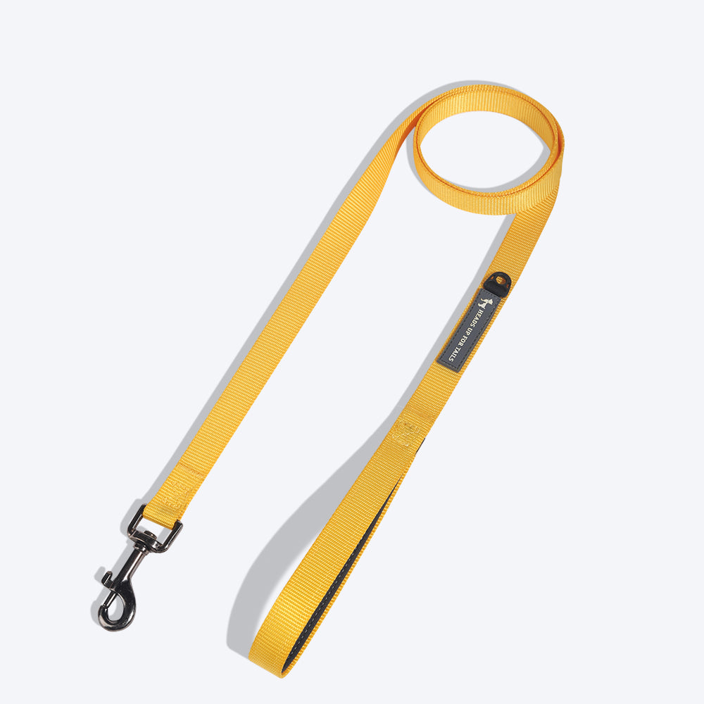 HUFT Essentials Nylon Dog Leash - Yellow - Heads Up For Tails