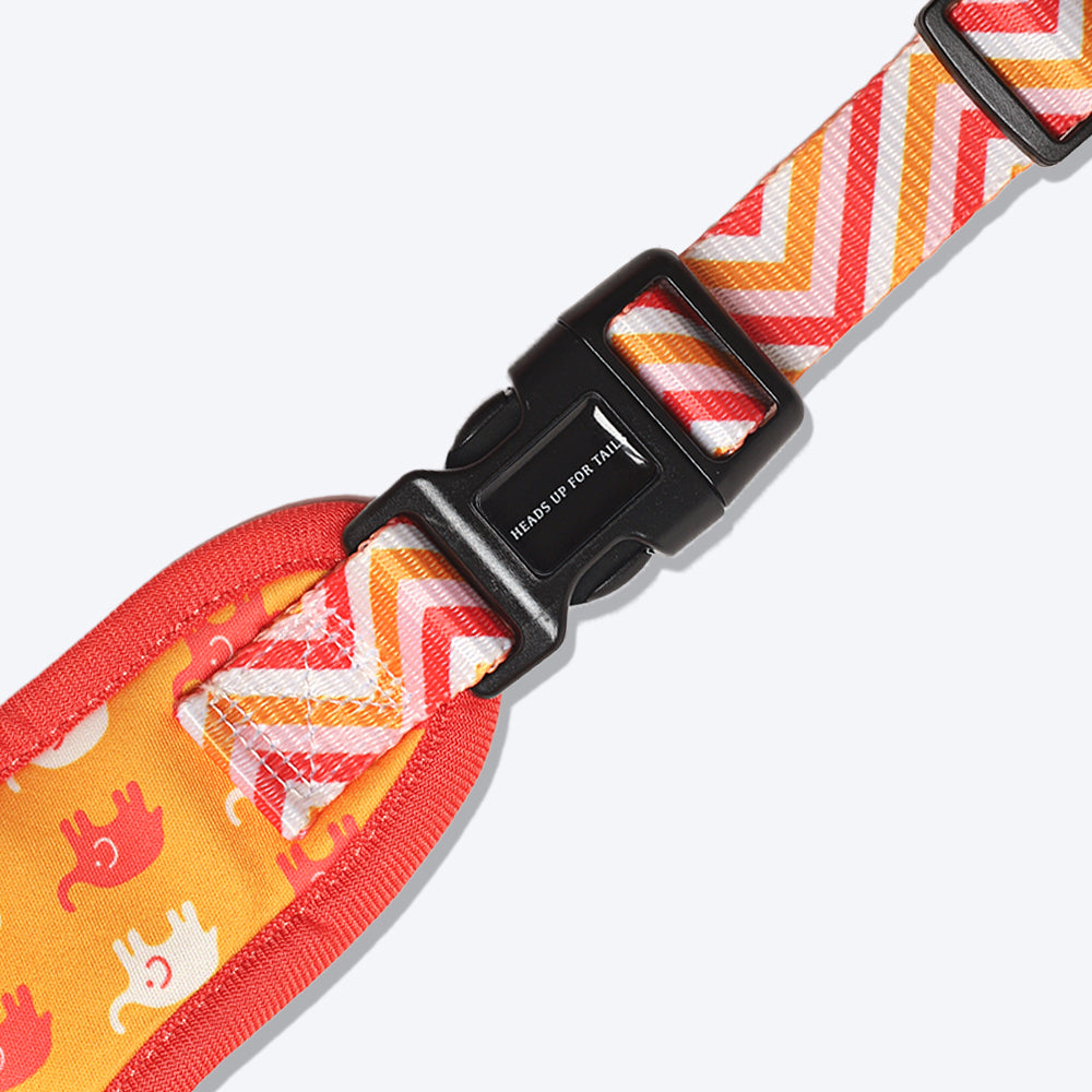 HUFT Summer Legacy Printed Harness - Heads Up For Tails