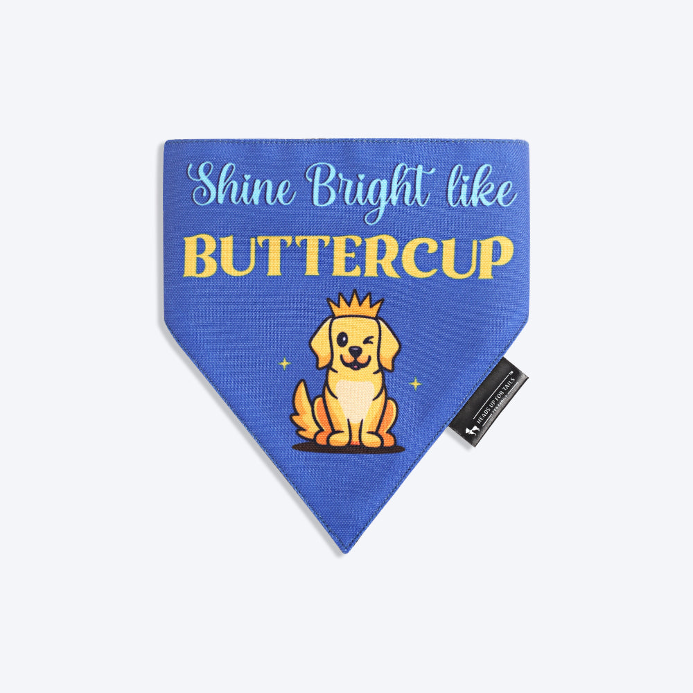 HUFT Personalised Shine Bright Like (Pet¢€š¬…¡¬€š¬…¾¢s Name) Bandana - Heads Up For Tails