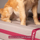HUFT Royal Snooze Bed For Dogs - Heads Up For Tails