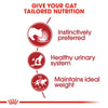 Royal Canin Instinctive Wet Cat Food - 85 g packs - Heads Up For Tails