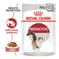 Royal Canin Instinctive Wet Cat Food - 85 g packs - Heads Up For Tails