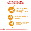 Royal Canin Hair & Skin Care In Gravy Adult Cat Wet Food - 85 g_05