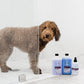 Isle of Dogs Everyday Lush Coating Dog Shampoo - Violet + Sea Mist - 500 ml - Heads Up For Tails