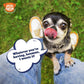 Awesome Pawsome Chicken Dumpling Dog Treat - 85 g - Heads Up For Tails