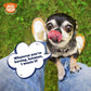 Awesome Pawsome Peanut Butter & Cranberry Dog Treat - 85 g - Heads Up For Tails