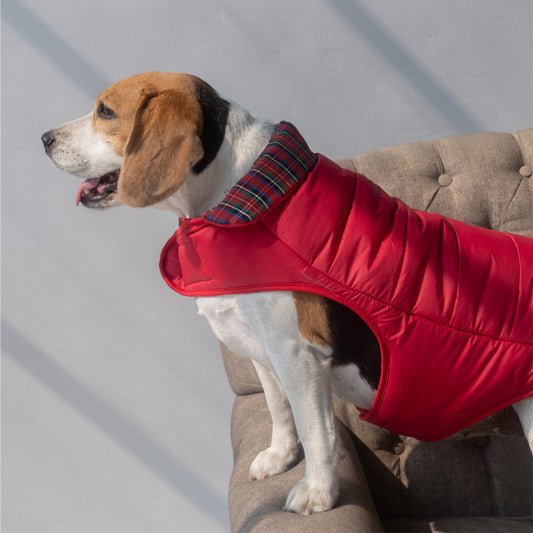 HUFT Wintersong Essentials Dog Jacket - Red