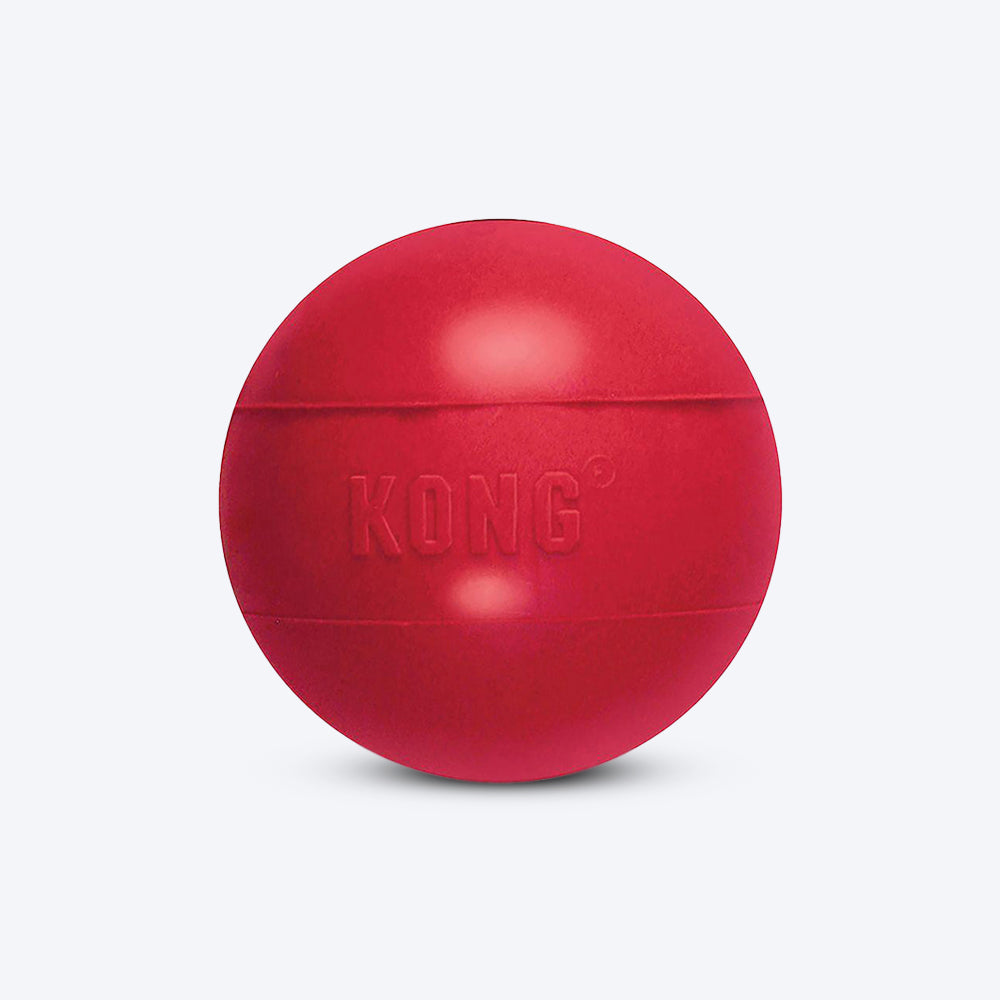 KONG Ball Dog Chew Toy - Heads Up For Tails