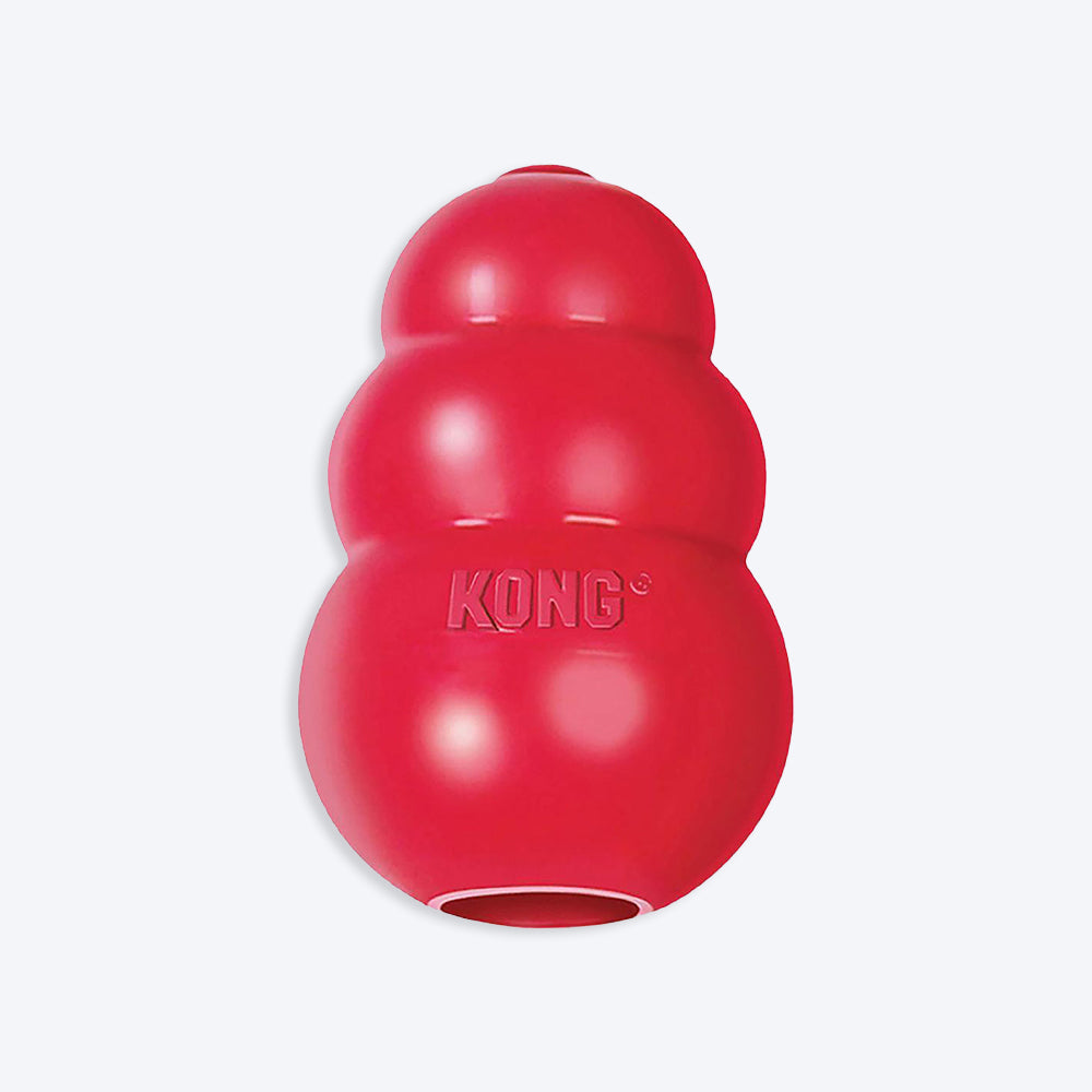 KONG Classic Chew Interactive Dog Toy (In multiple sizes) - Heads Up For Tails