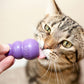 KONG Treat Dispenser Interactive Cat Toy - Heads Up For Tails