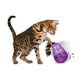 KONG Wobbler Interactive Cat Toy - Heads Up For Tails