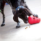 KONG Wobbler Interactive Dog Toy (In multiple sizes)_02