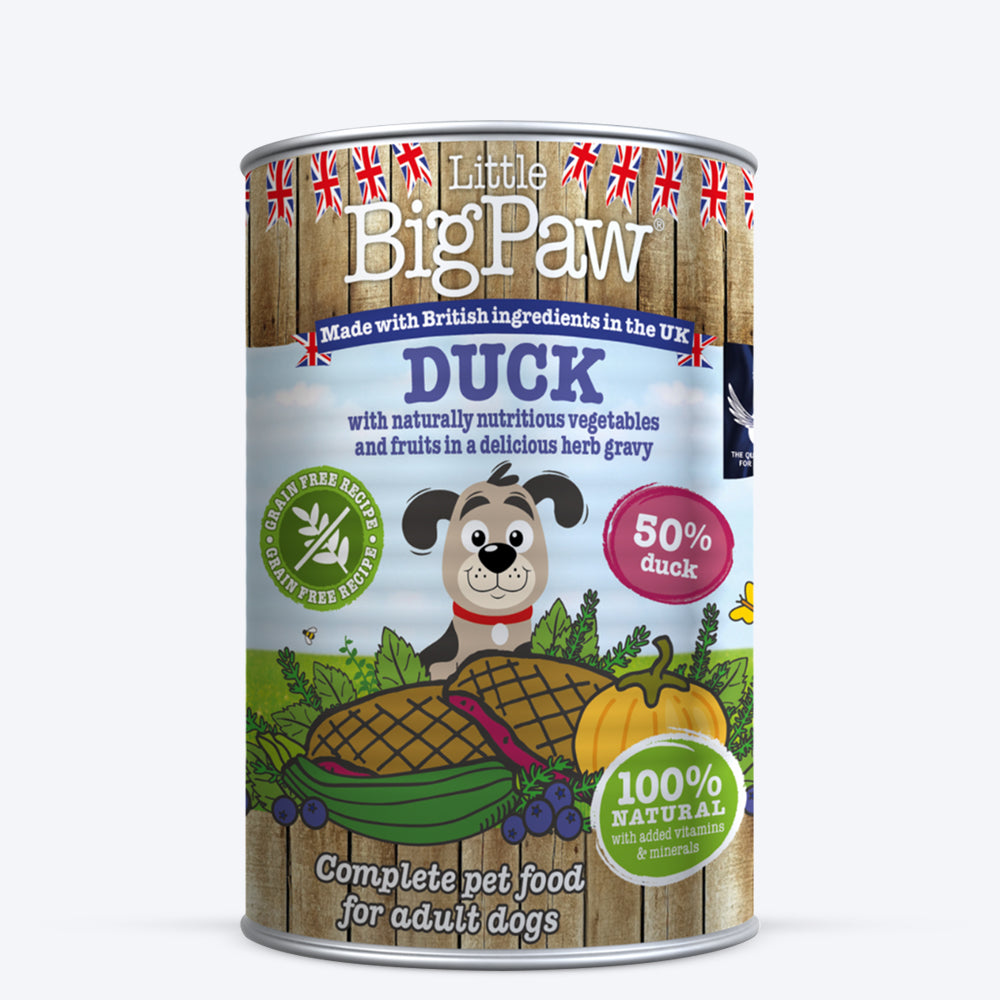 Little BigPaw Duck with Blueberries, Courgettes and Pumpkin in a Rich Herb Gravy Wet Dog Food - 390 g