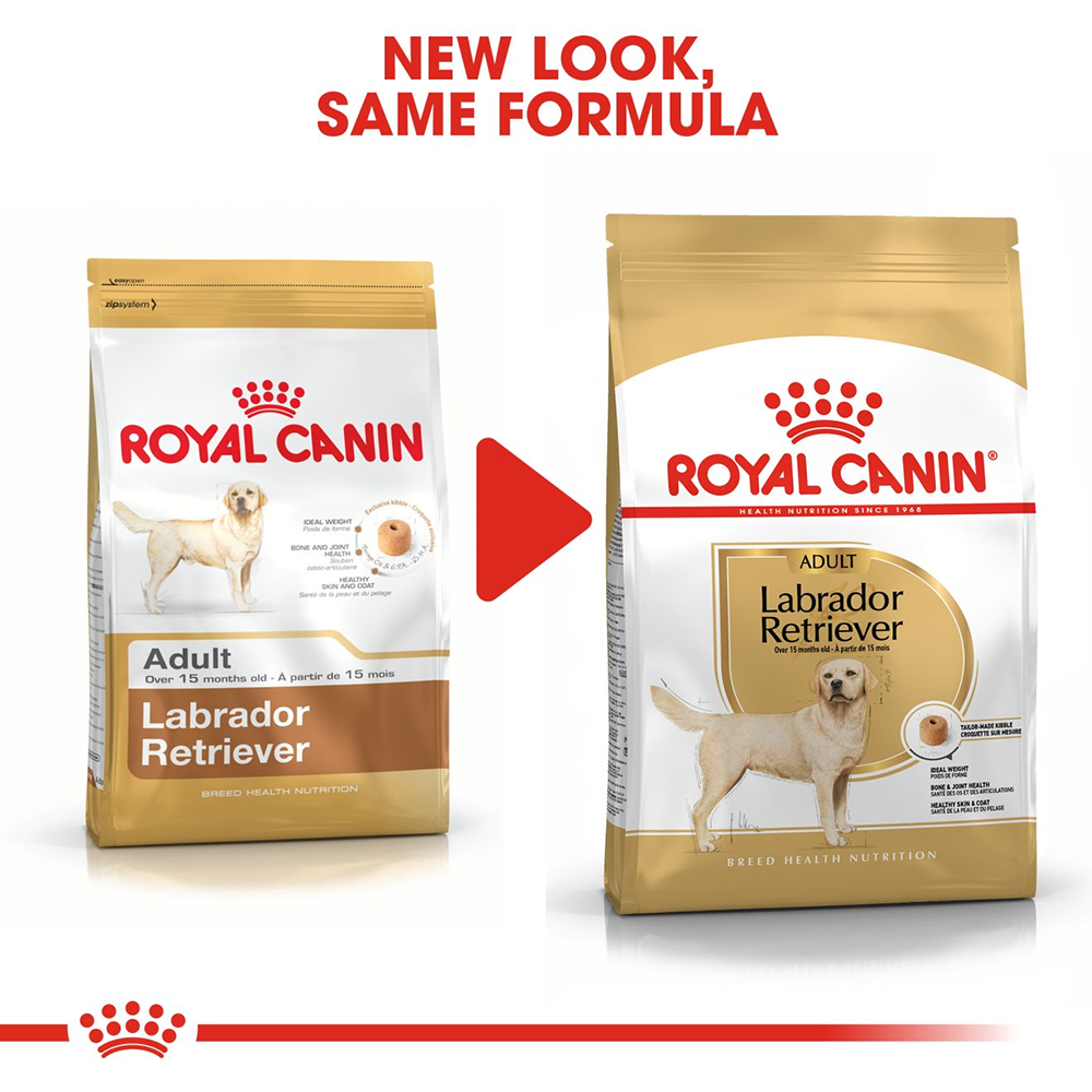 Best dog food top for adult labs