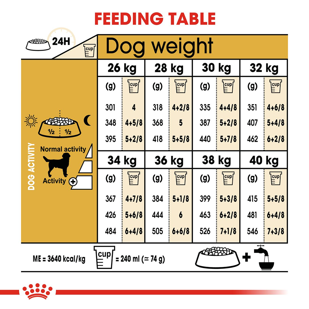 Labrador 2025 feeding guide