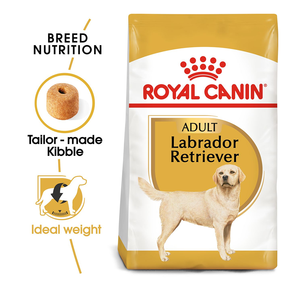 Best labrador hotsell dry food
