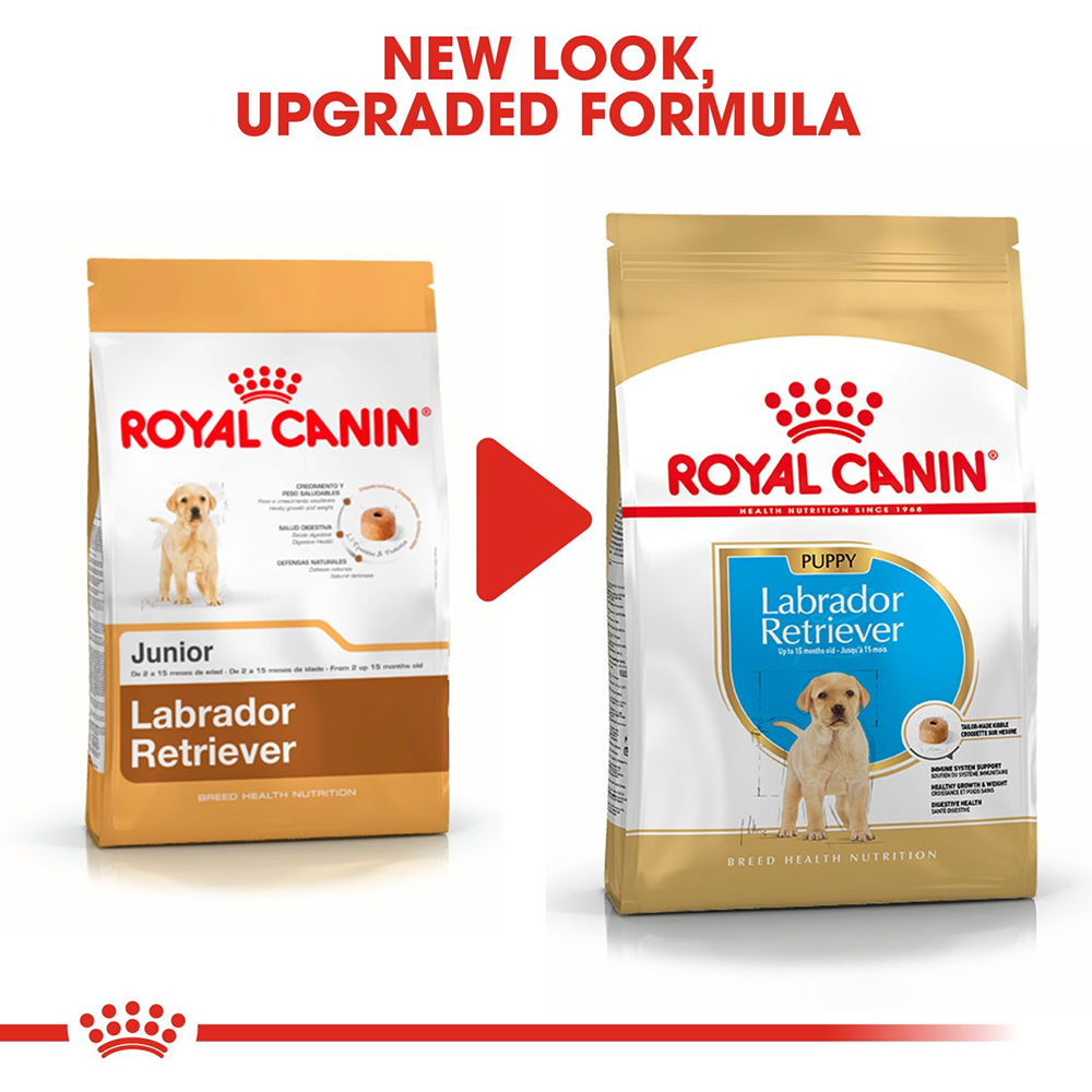 Best kibble top for labrador puppy