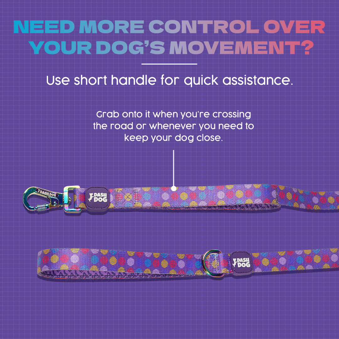 Dash Dog Circle Printed Leash - Violet & Red - Heads Up For Tails