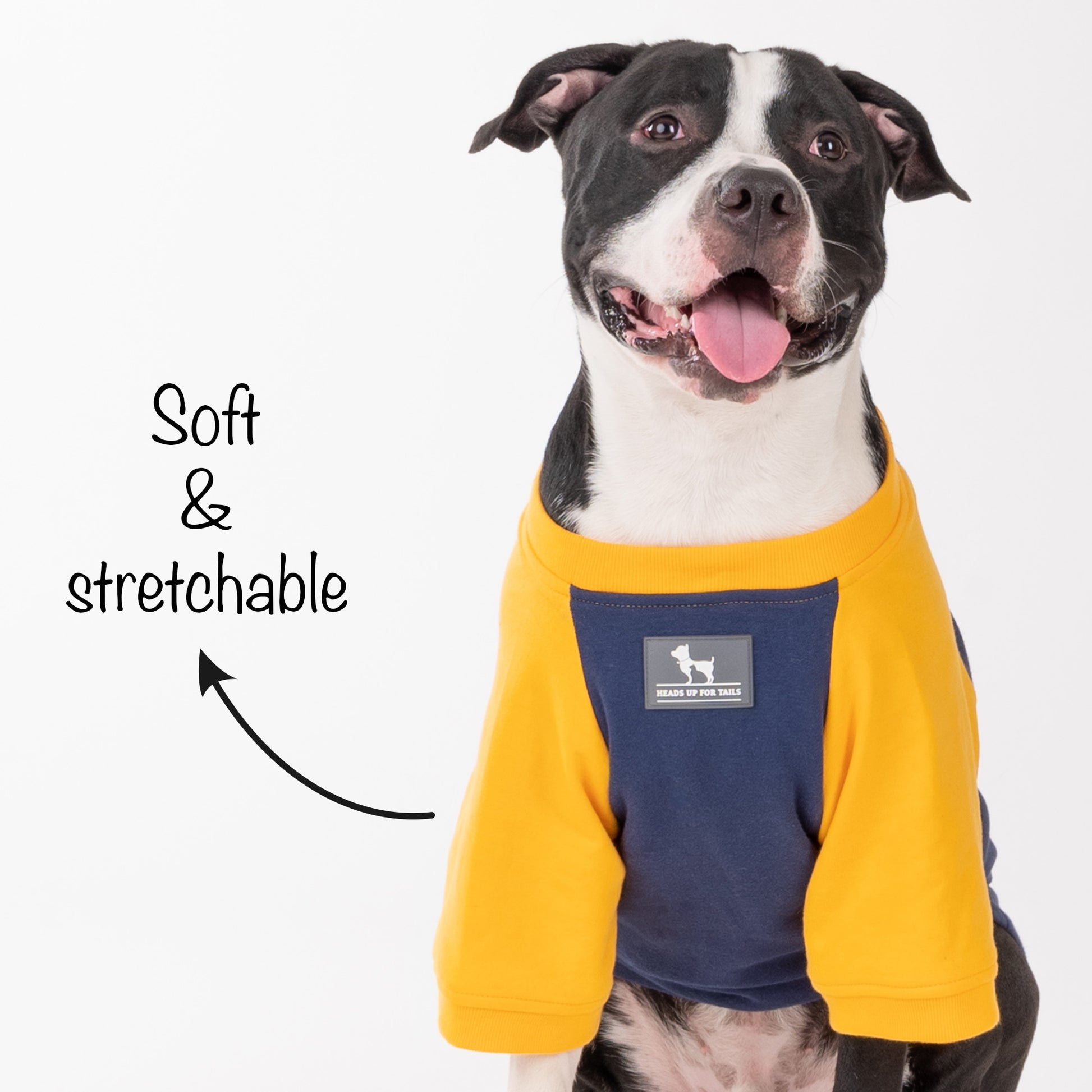 HUFT Less Talkie More Walkie Pet Sweatshirt - Navy - Heads Up For Tails