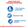 Royal Canin Ultra Light Wet Cat Food - 85 g packs - Heads Up For Tails