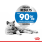 Royal Canin Ultra Light Wet Cat Food - 85 g packs - Heads Up For Tails