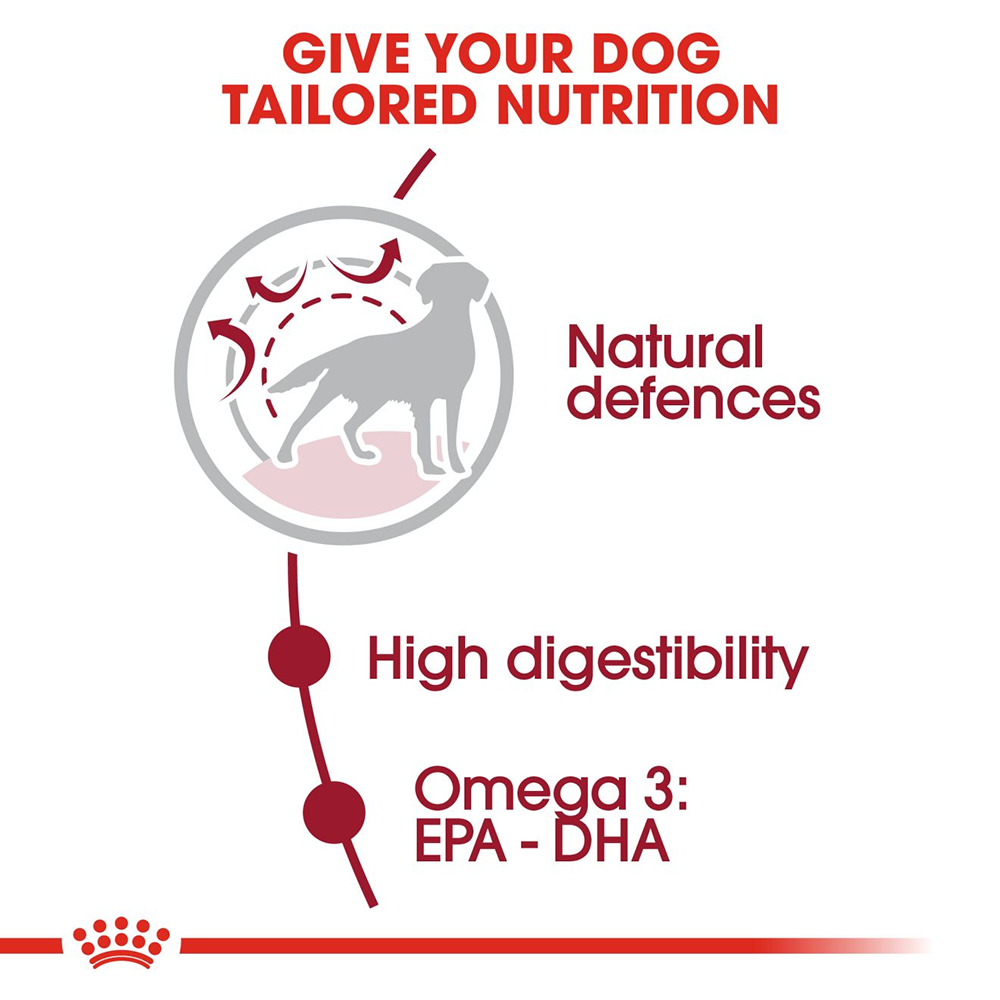 Royal Canin Medium Breed Adult Dry Dog Food - Heads Up For Tails