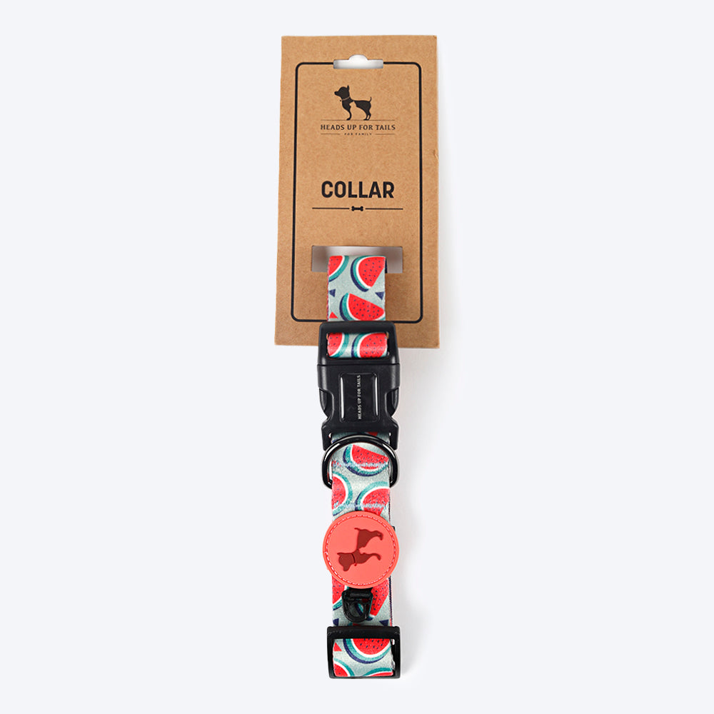 HUFT Garden Party Summer Love Dog Collar - Heads Up For Tails