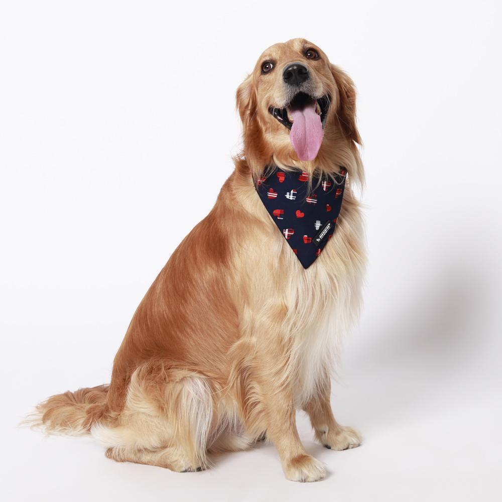 HUFT Navy Hearts Dog Bandana4