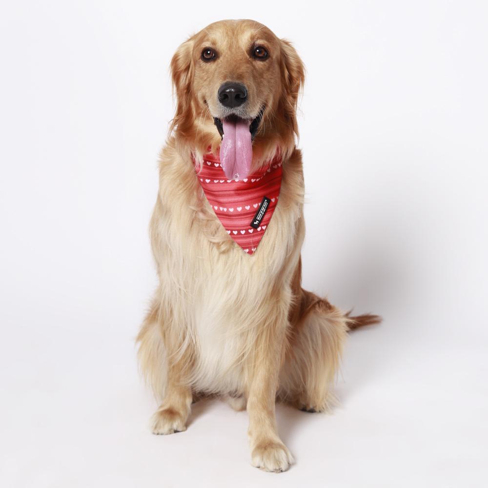 HUFT Heart Stripes Reversible Dog Bandana4