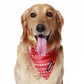HUFT Heart Stripes Reversible Dog Bandana3