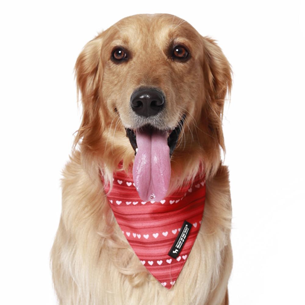 HUFT Heart Stripes Reversible Dog Bandana3