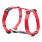 HUFT Essentials Nylon Dog H-Harness - Red-4