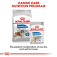 Royal Canin Light Weight Care Maxi Breed Dog Food - Heads Up For Tails