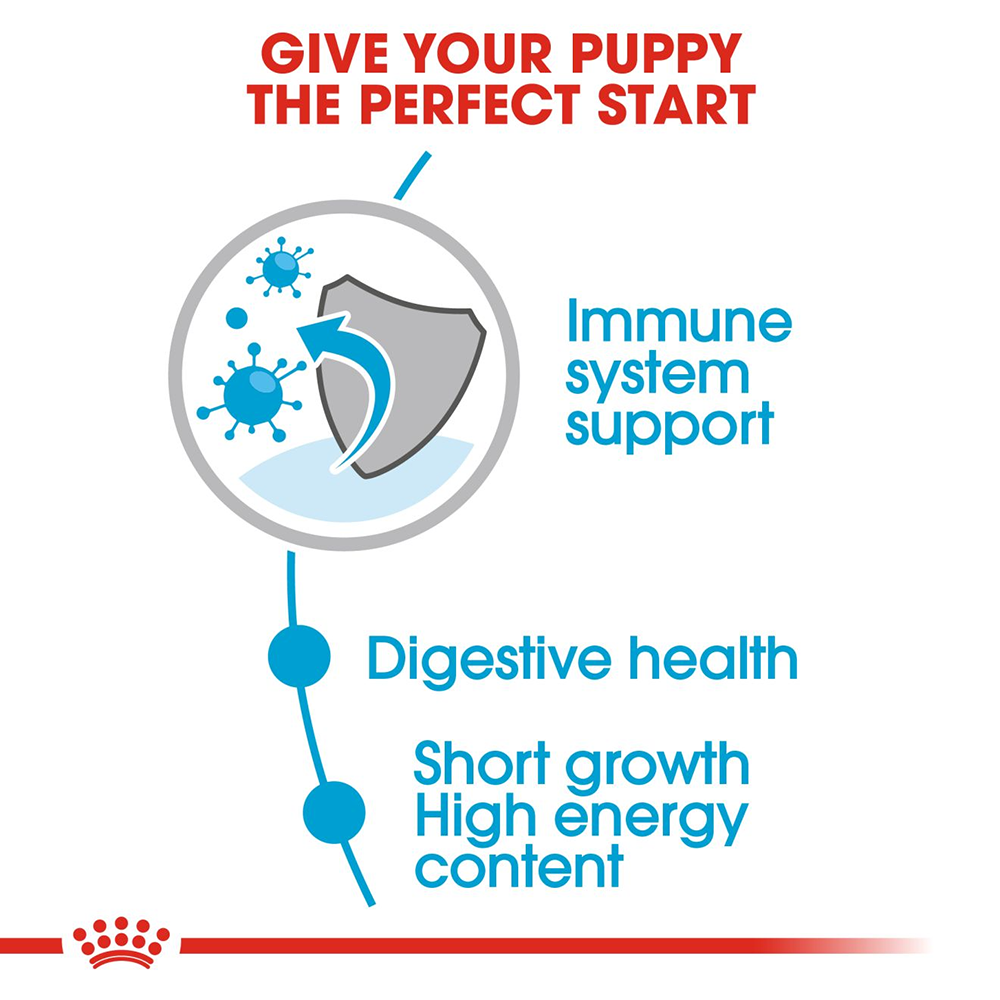 Royal Canin Puppy Medium Wet Puppy Food - 140 g - Heads Up For Tails