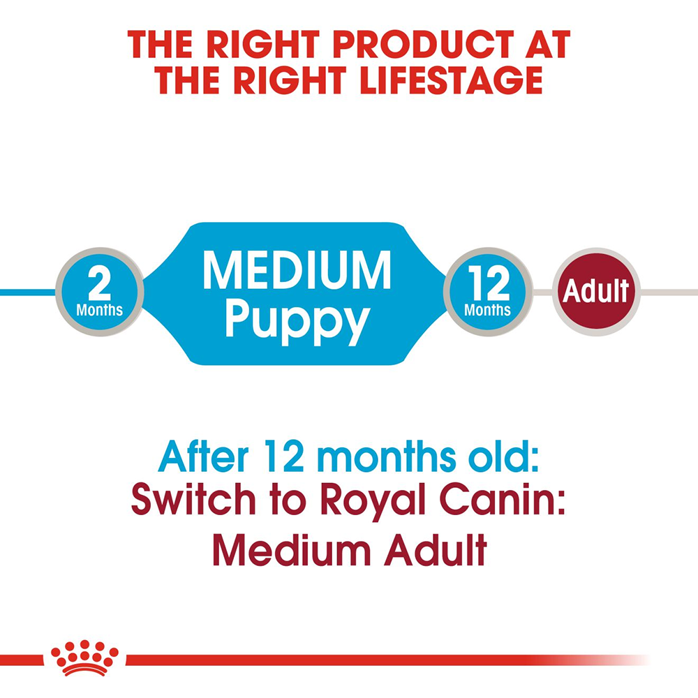 Royal Canin Puppy Medium Wet Puppy Food - 140 g - Heads Up For Tails