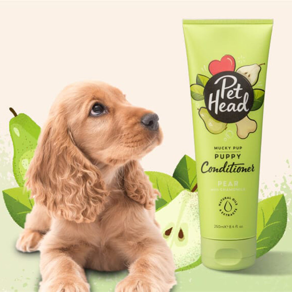 Puppy conditioner store