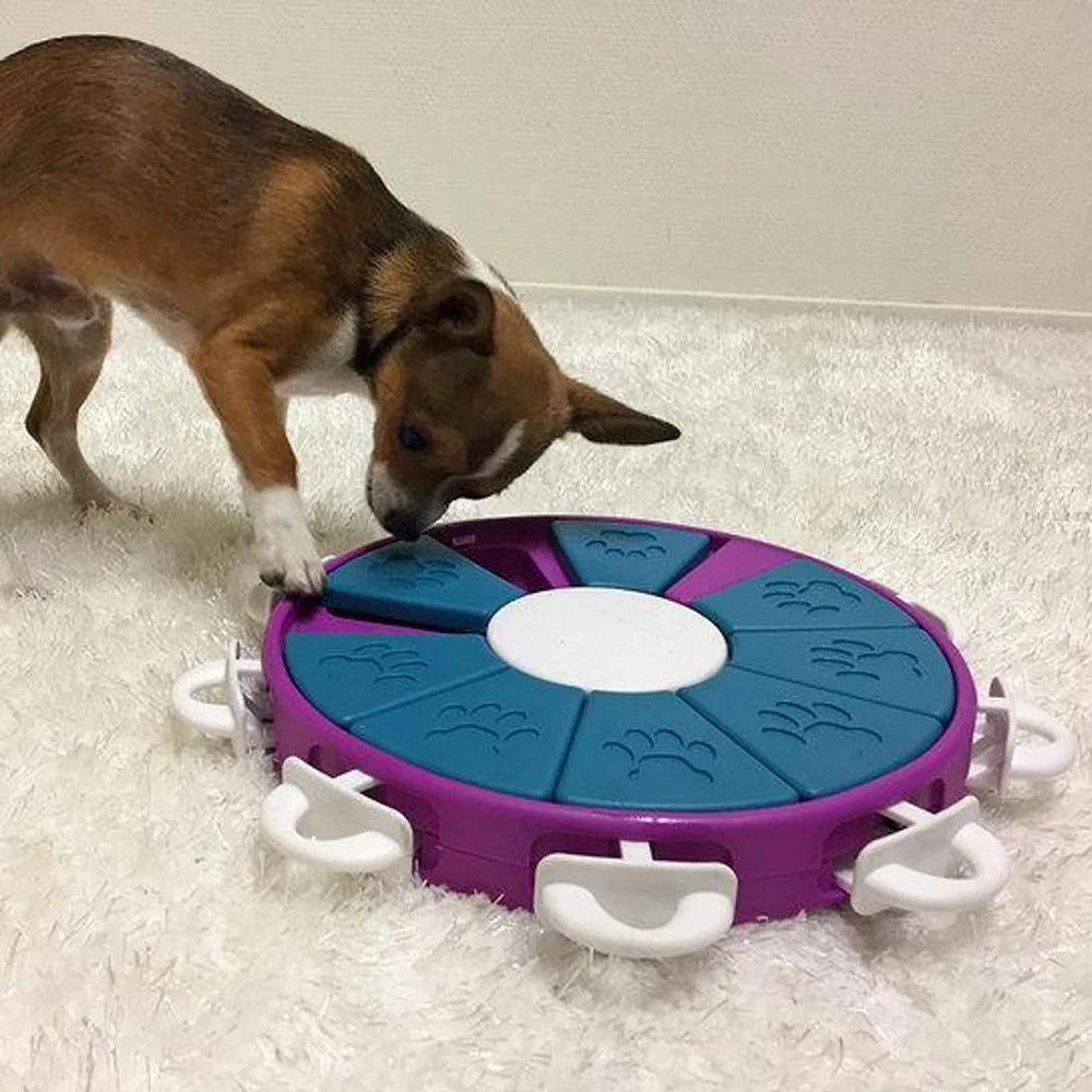 Outward Hound (Nina Ottosson) Dog Twister - Interactive Dog Toy (Level 3) - Heads Up For Tails