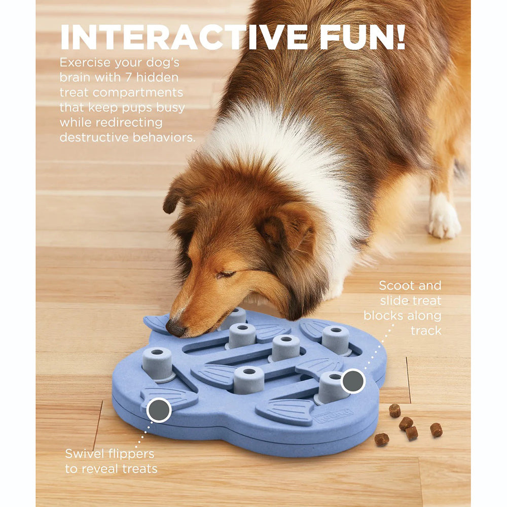 Outward Hound (Nina Ottosson) Hide & Slide - Interactive Dog Toy (Level 2) - Heads Up For Tails