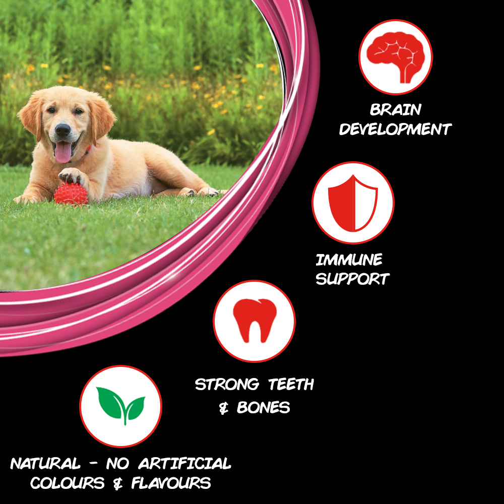 PURINA SUPERCOAT Puppy Dry Dog Food with Chicken-02