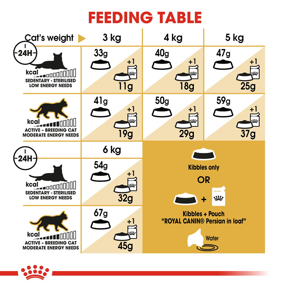 Persian cat clearance food price