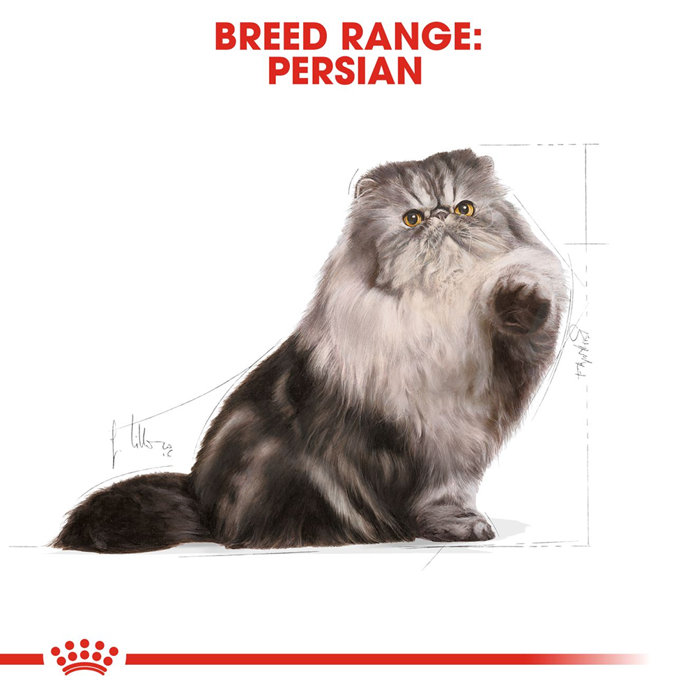 Royal Canin Persian Adult Dry Cat Food - Heads Up For Tails