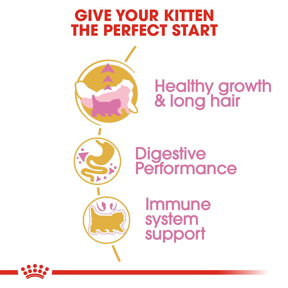 Royal Canin Persian Kitten Dry Cat Food Heads Up For Tails